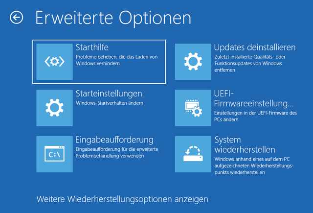 Win RE Erweiterte Optionen Variante 1