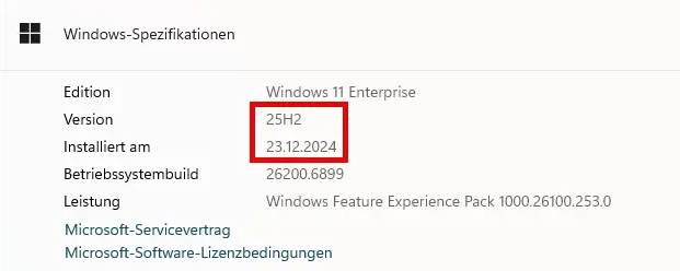 Windows 11 Enterprise System-Informationen