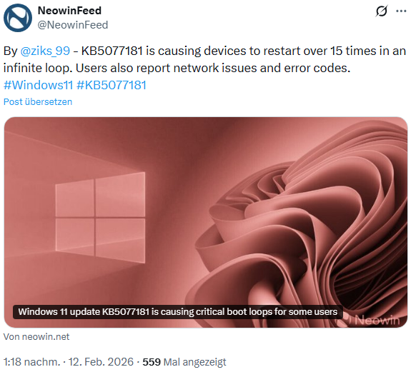 Windows 11 Boot-Schleife