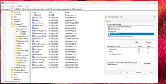 Registry-Einträge Barrierefreiheit