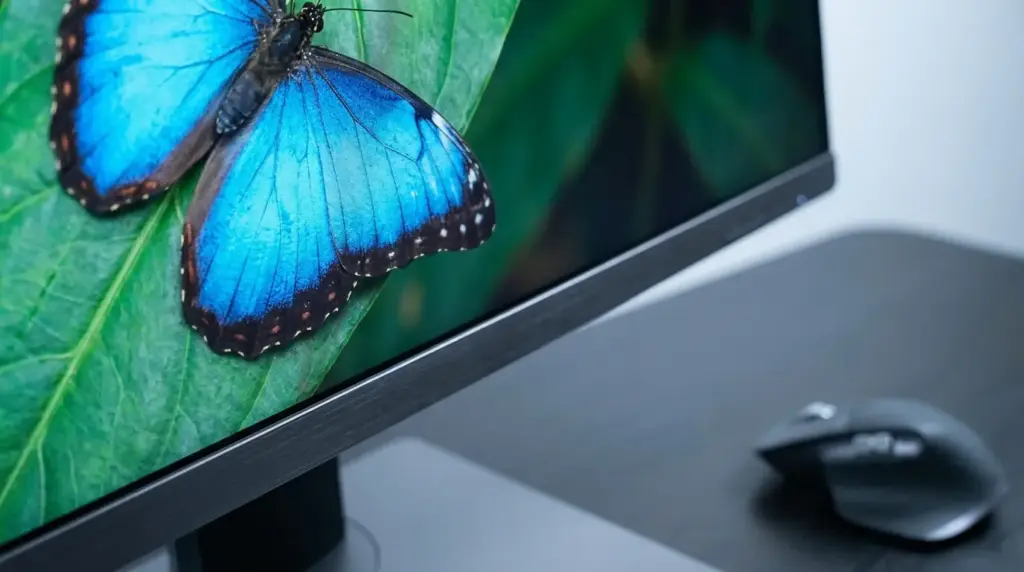 Nomacs 3.22.0: Open-Source-Bildbetrachter erhält Modernisierungsschub